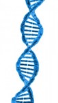 dna-1370603787LgY